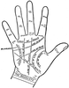 Palmistry Image Image